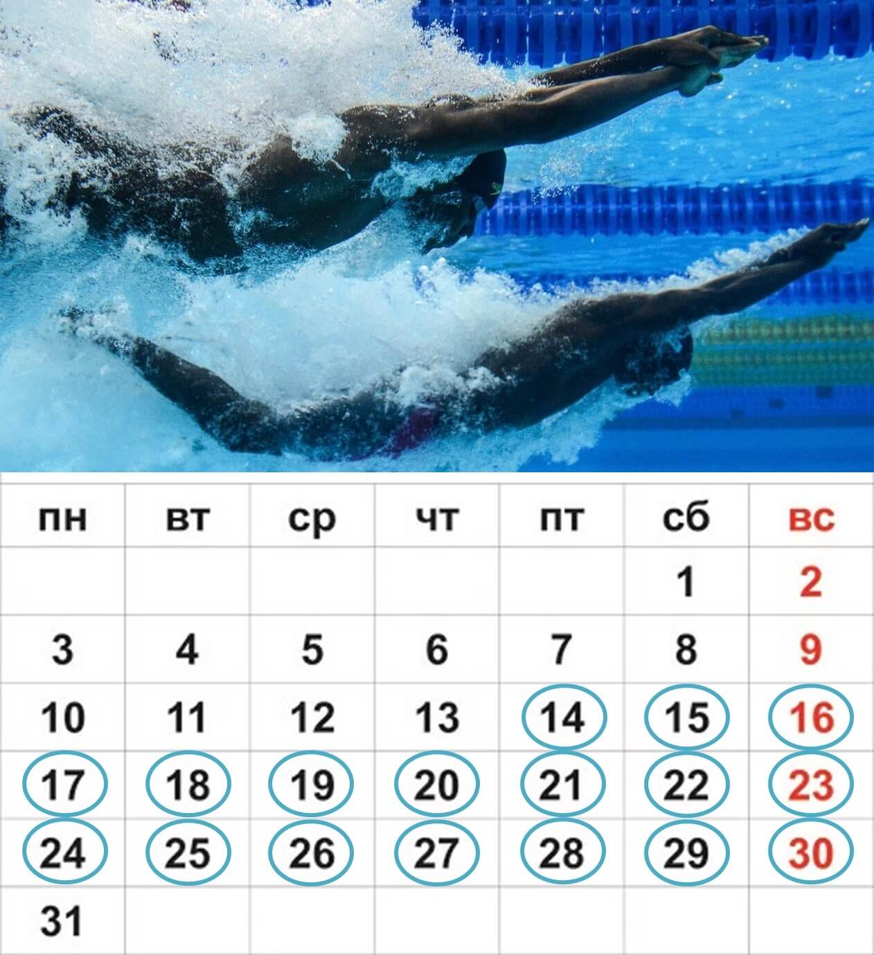 водны виды спорта соревнования по водному поло и плаванию